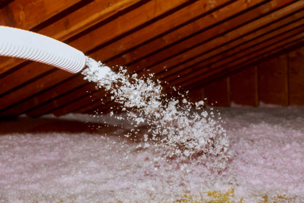 Best Insulation Maintenance and Repair in Humboldt, TN