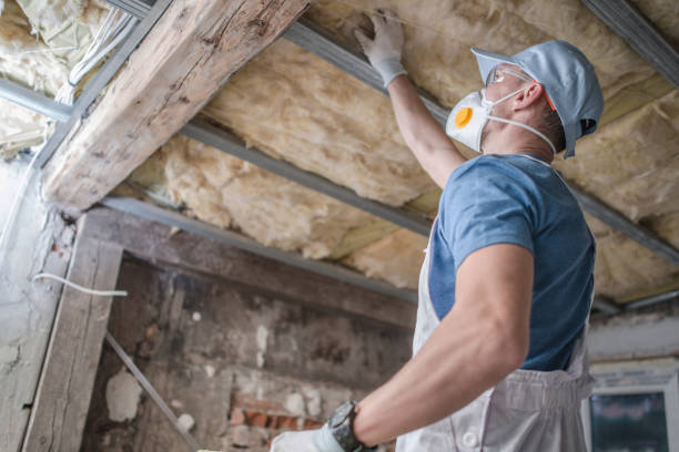 Best Geographic-Specific Insulation Services in Humboldt, TN