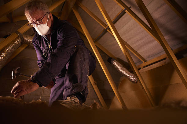 Types of Insulation We Offer in Humboldt, TN