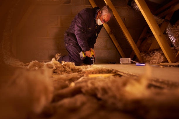 Best Specialized Insulation Services in Humboldt, TN