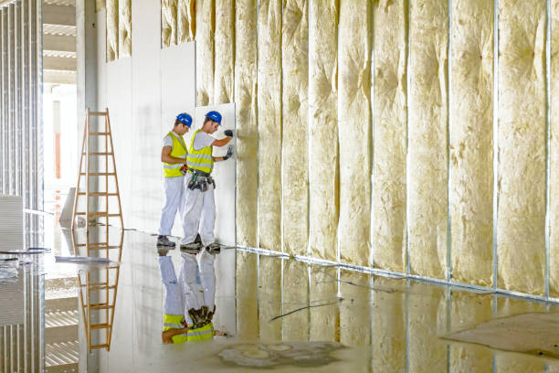 Best Blown-in Insulation in Humboldt, TN